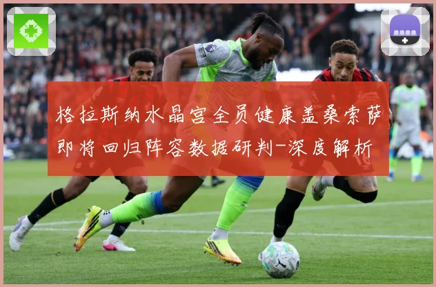 格拉斯纳水晶宫全员健康盖桑索萨即将回归阵容数据研判-深度解析