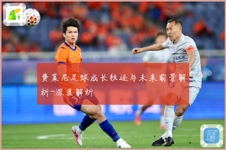 费莱尼足球成长轨迹与未来前景解析-深度解析