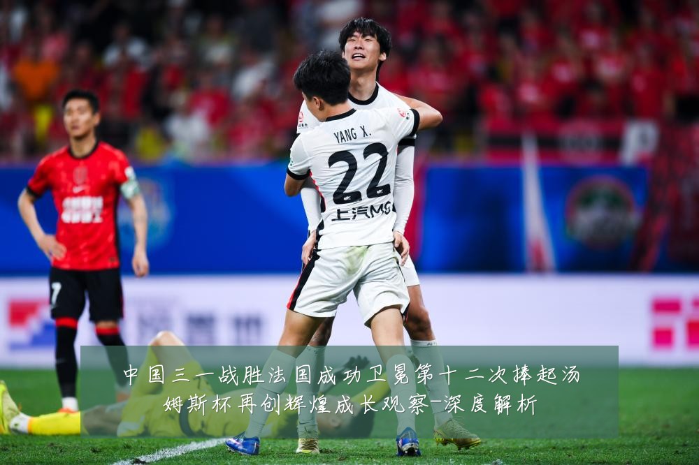 中国三一战胜法国成功卫冕第十二次捧起汤姆斯杯再创辉煌成长观察-深度解析